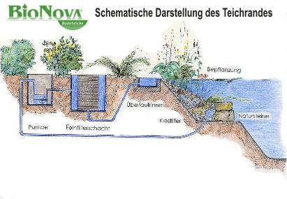 Badeteich Funktion Bauweise